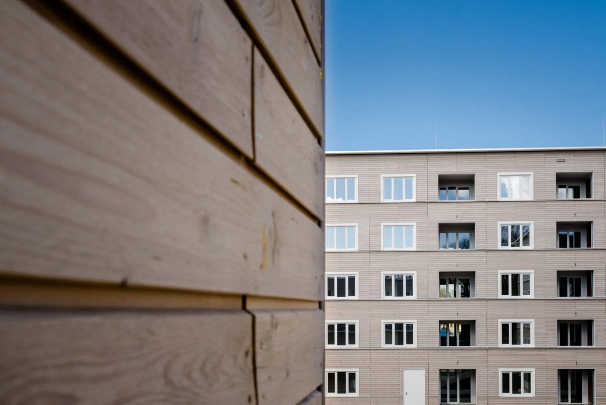 Bauleiter Holz-Hybrid Systembau ()