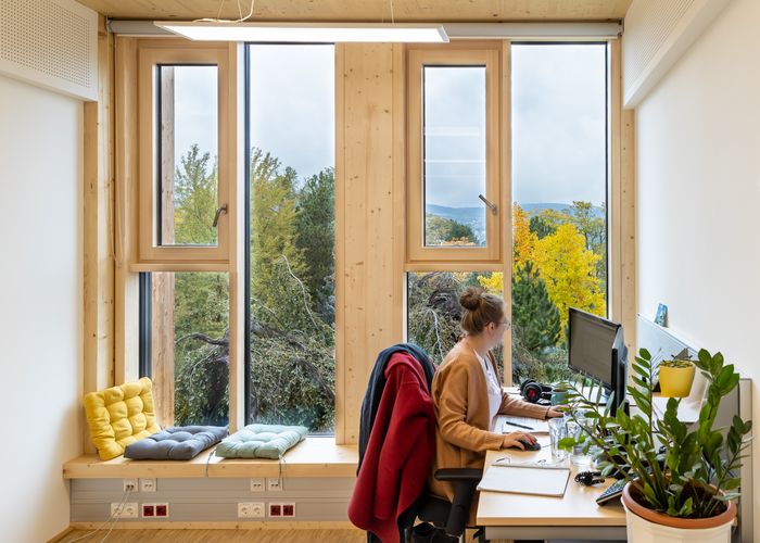 Ilse Wallentin Haus, HASSLACHER Gruppe