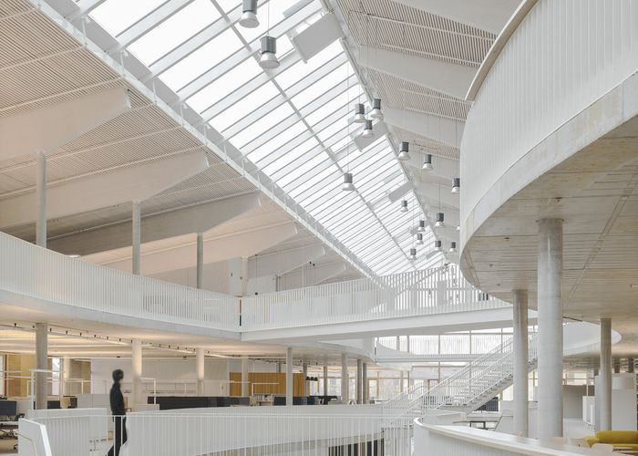 Alnatura Arbeitswelt, haascookzemmrich STUDIO2050