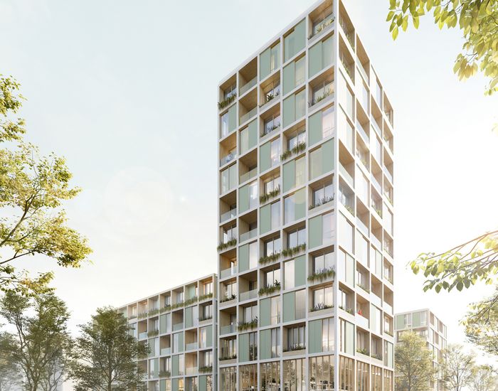 Nestbau⁴ in Freiburg