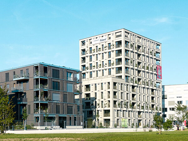 Ingenieurbüro für Holzbau Hochpunkt Spinelli