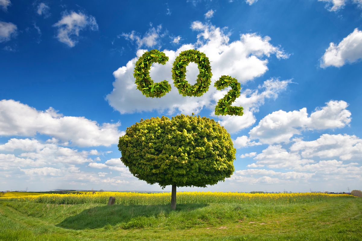 Klimapositiv bauen bedeutet eine ausgeglichene oder idealerweise negative CO2-Jahresbilanz.