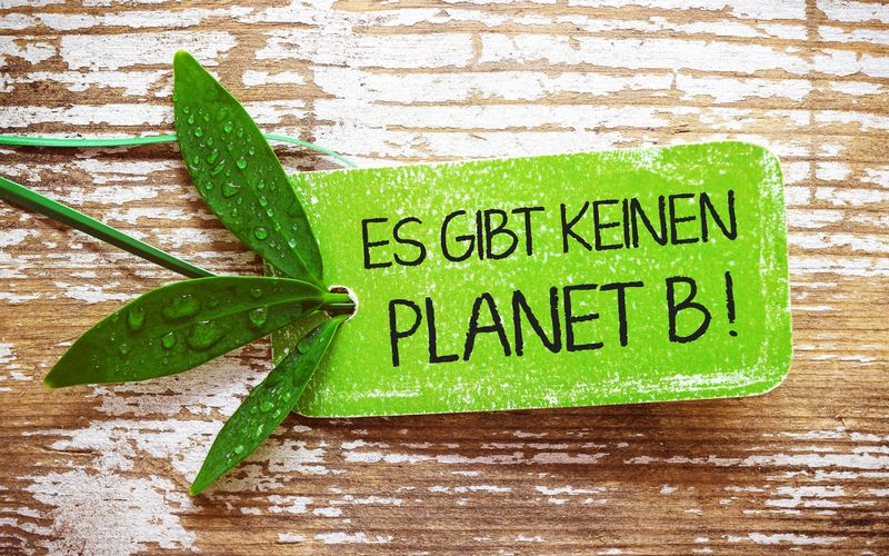 1,5-Grad-Studie Fridays for Future - es gibt keinen Planet B