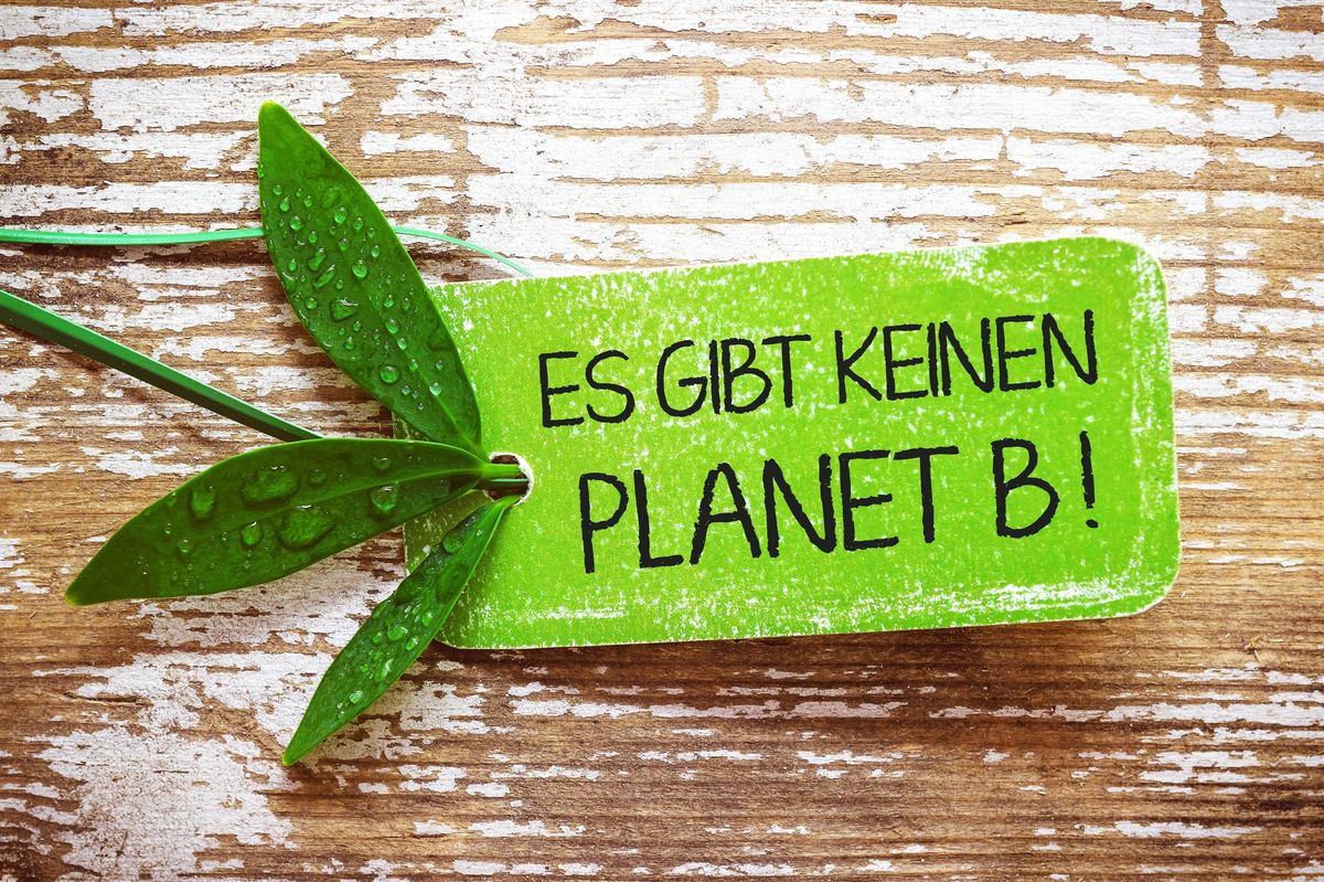 1,5-Grad-Studie Fridays for Future - es gibt keinen Planet B