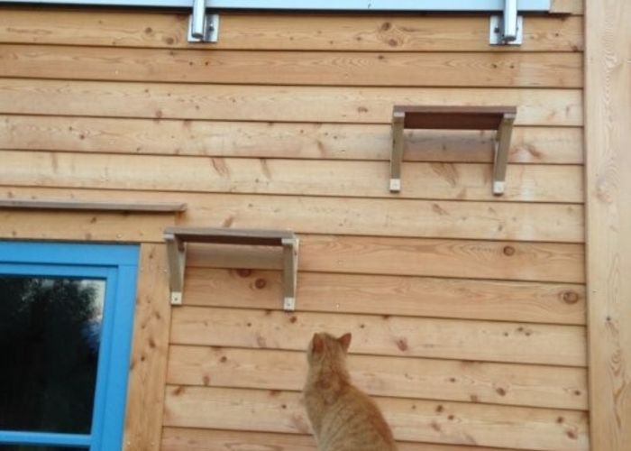 Holzhaus CALO, SKANDIMA® Holzhäuser