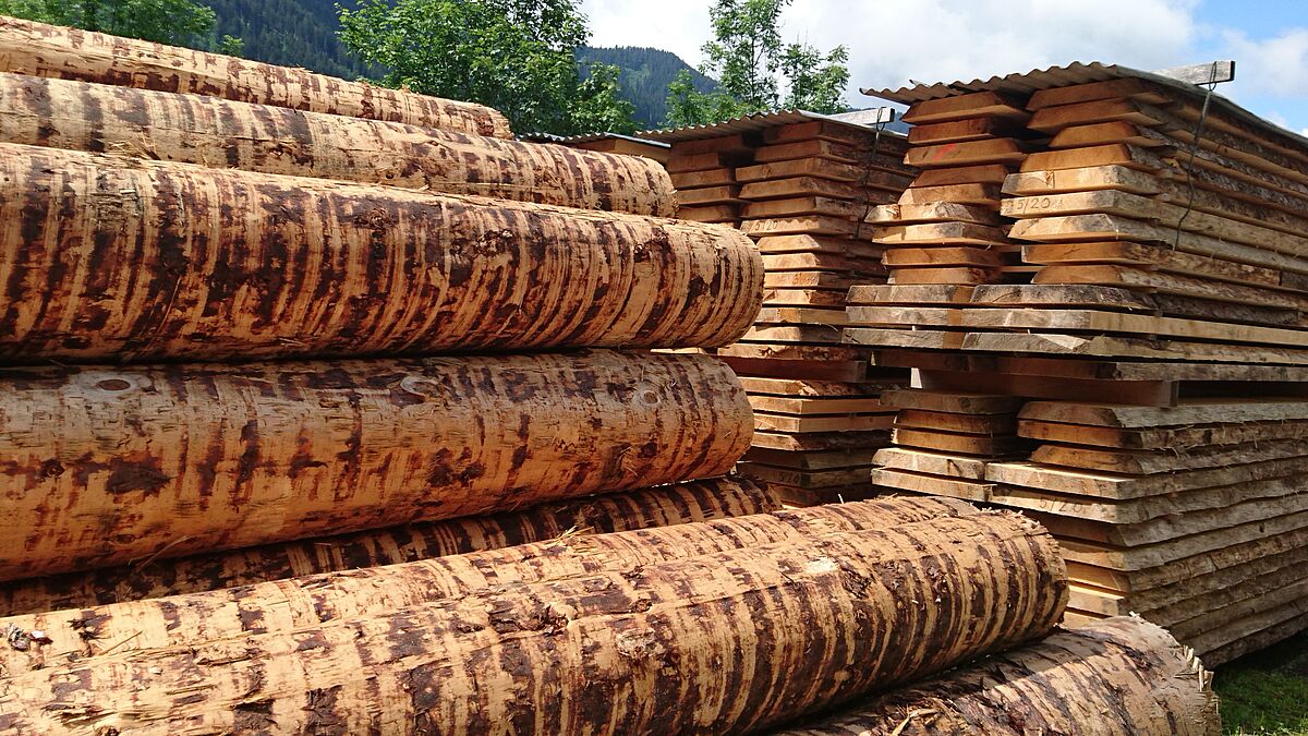 Der digitale Lebenslauf begleitet das Holz vom Rohstoff bis zum wiederverwendbaren Bauteil. Foto: Holzbauwelt.de