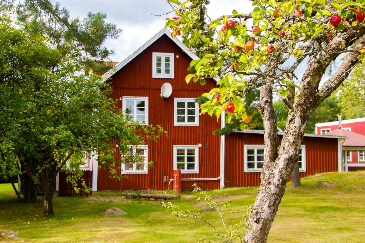 Schwedenhaus bauen in Holzbauweise. Foto: stock.adobe.com