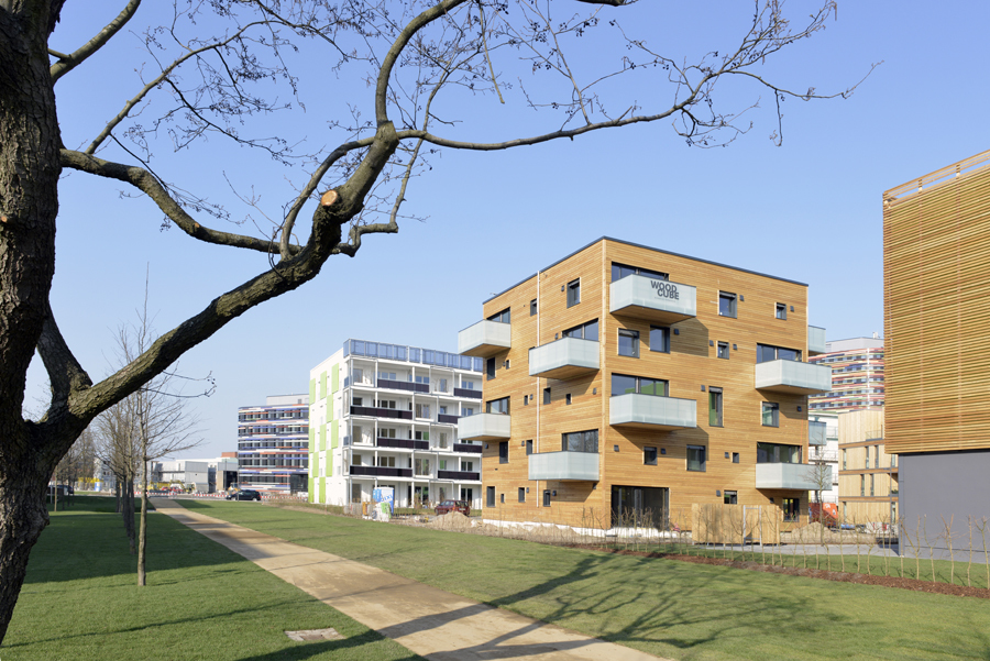 Cradle to Cradle  - IBA-Projekt WOODCUBE