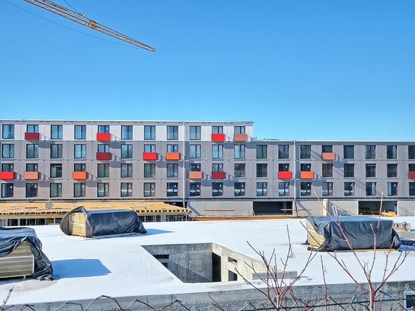 Timber Homes